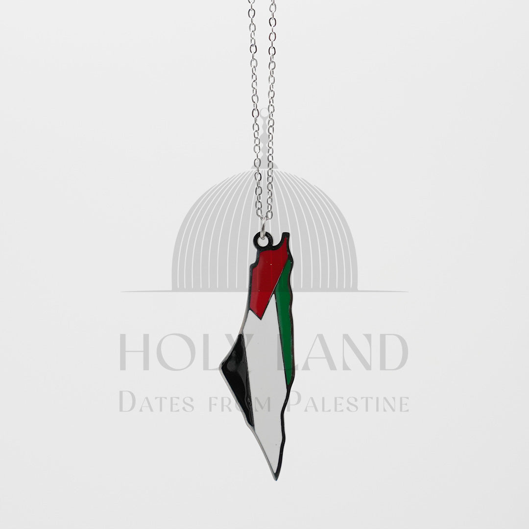 Palestine Flag (Silver) Necklace